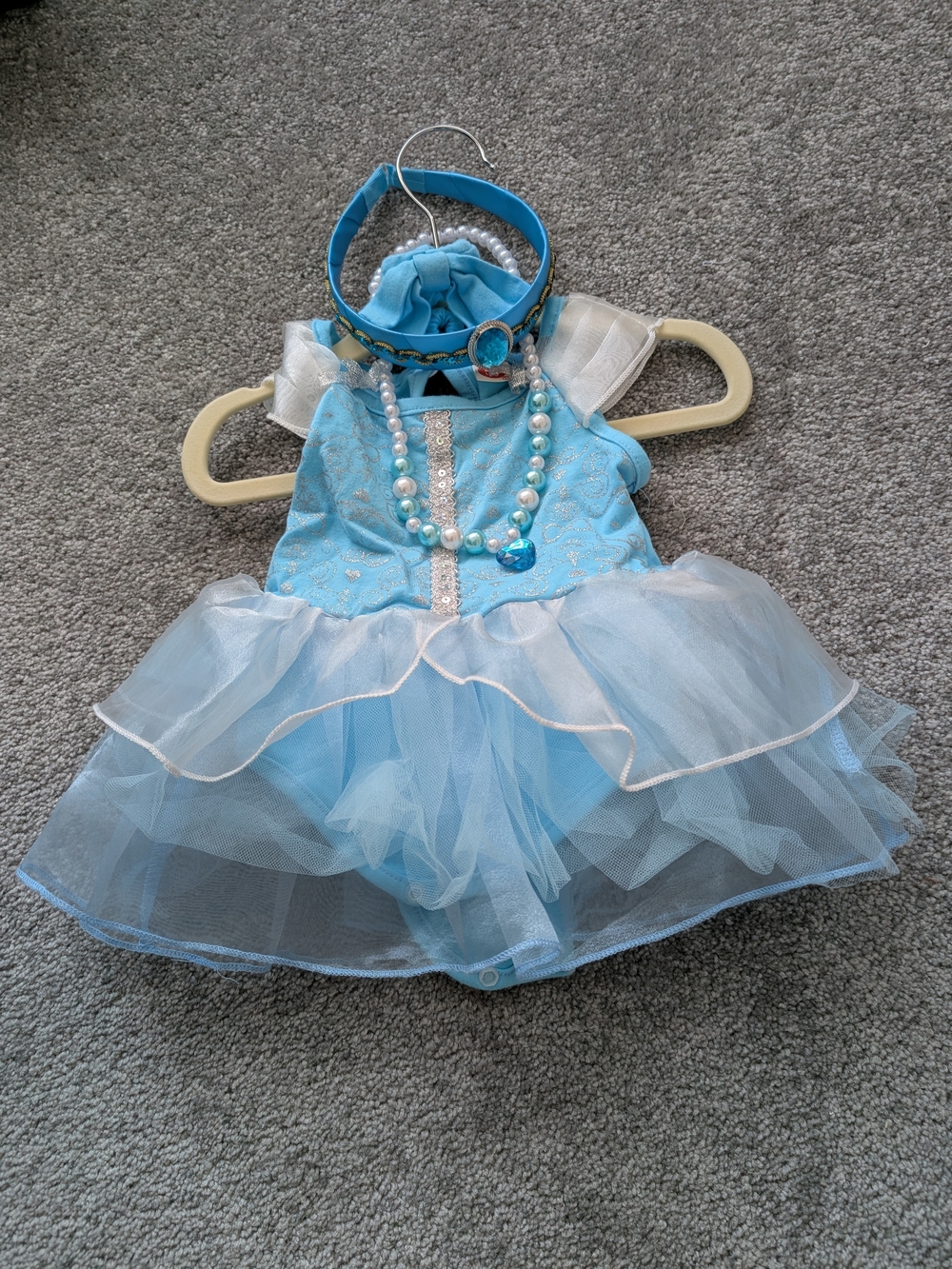 Blue Princess Tulle Dress & Accessories Kids Costume